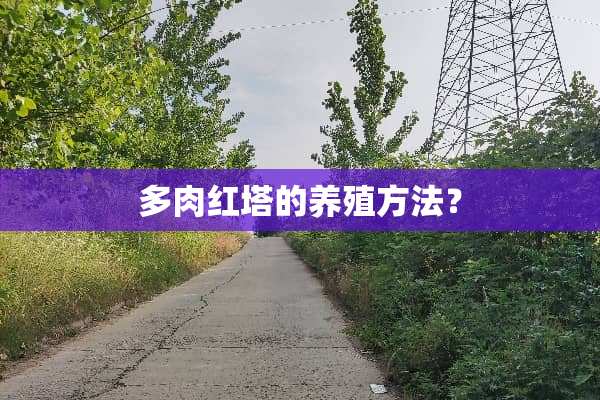 多肉红塔的养殖方法？