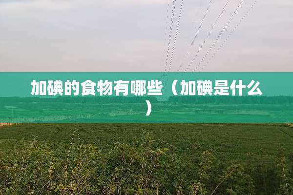 加碘的食物有哪些（加碘是什么）