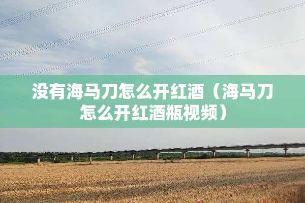 没有海马刀怎么开红酒（海马刀怎么开红酒瓶视频）