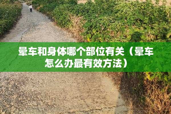 晕车和身体哪个部位有关（晕车怎么办最有效方法）