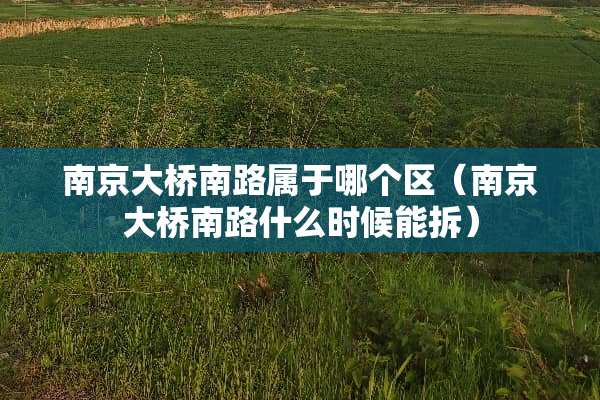 ***桥南路属于哪个区（***桥南路什么时候能拆）