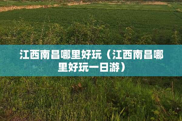 江西南昌哪里好玩（江西南昌哪里好玩一日游）