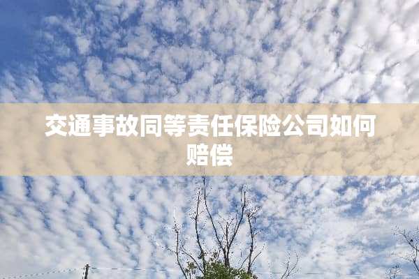 交通事故同等责任保险公司如何赔偿