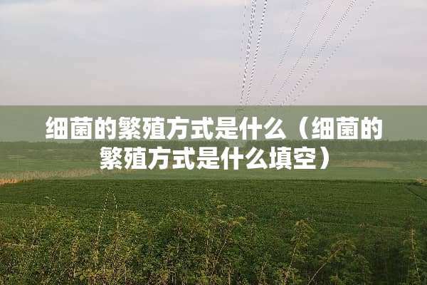 细菌的繁殖方式是什么（细菌的繁殖方式是什么填空）