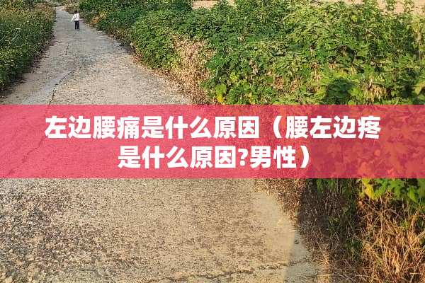 左边腰痛是什么原因（腰左边疼是什么原因?男性）