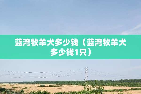 蓝湾牧羊犬多少钱（蓝湾牧羊犬多少钱1只）