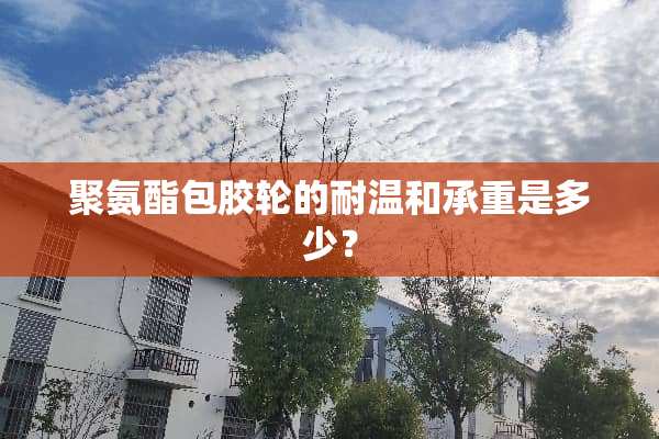 聚氨酯包胶轮的耐温和承重是多少？