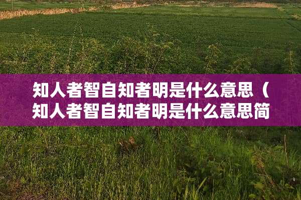 知人者智自知者明是什么意思（知人者智自知者明是什么意思简单）