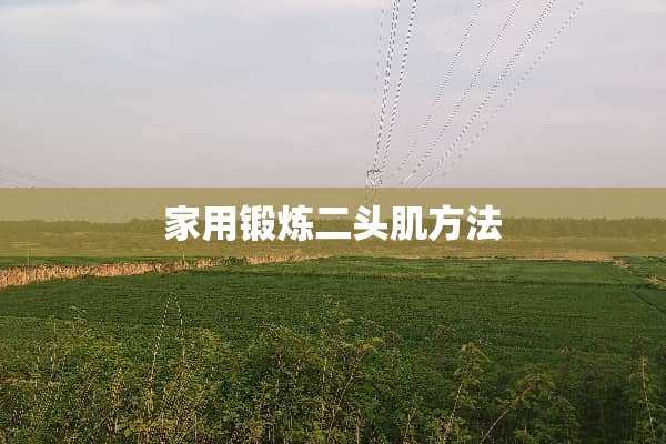 家用锻炼二头肌方法