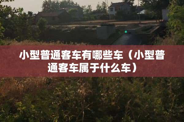 小型普通客车有哪些车（小型普通客车属于什么车）