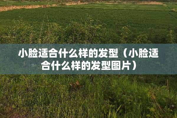 小脸适合什么样的发型（小脸适合什么样的发型图片）