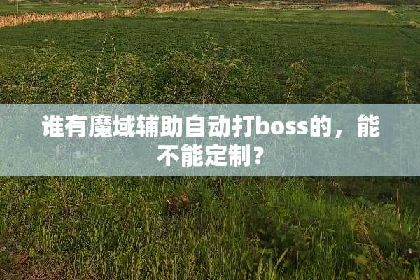 谁有魔域辅助自动打boss的，能不能定制？