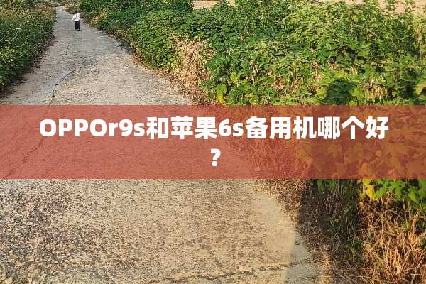 OPPOr9s和苹果6s备用机哪个好？
