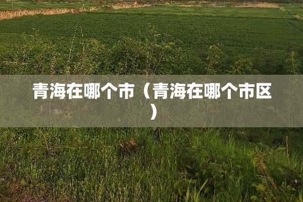 青海在哪个市（青海在哪个市区）