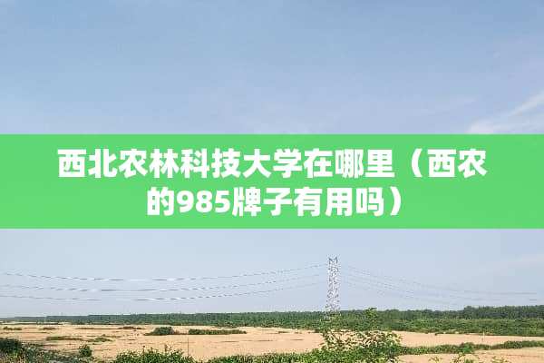 西北农林科技大学在哪里（西农的985牌子有用吗）