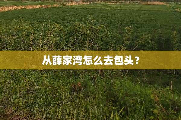 从薛家湾怎么去包头？