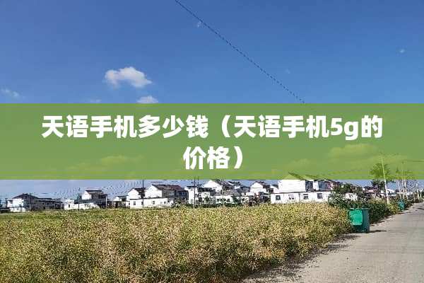 天语手机多少钱（天语手机5g的价格）