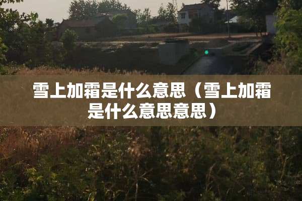 雪上加霜是什么意思（雪上加霜是什么意思意思）