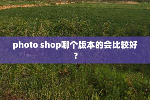 photo shop哪个版本的会比较好？
