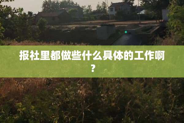 报社里都做些什么具体的工作啊？