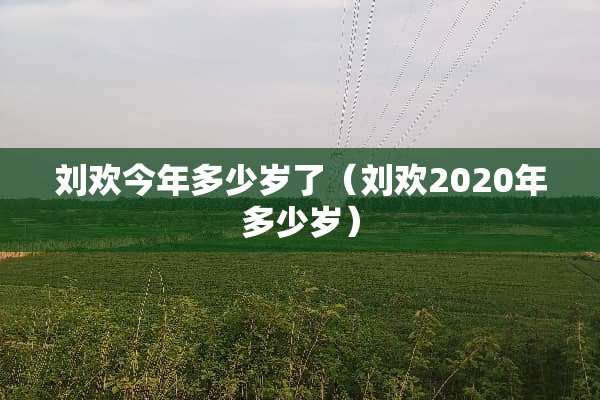 刘欢今年多少岁了（刘欢2020年多少岁）