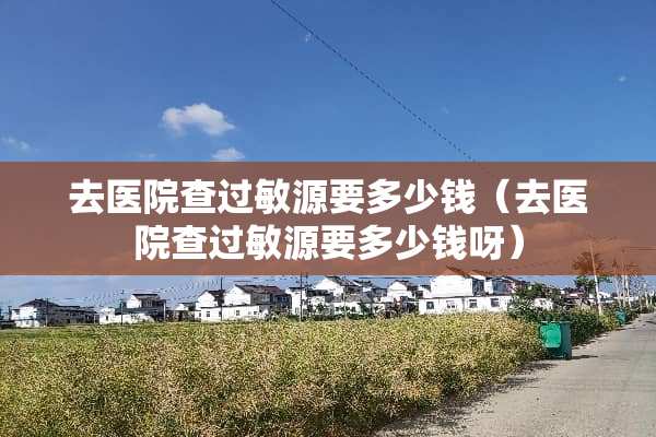 去医院查过敏源要多少钱（去医院查过敏源要多少钱呀）
