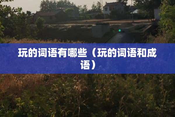 玩的词语有哪些（玩的词语和成语）