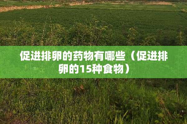 促进排卵的药物有哪些（促进排卵的15种食物）