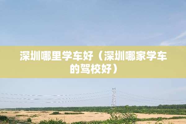 深圳哪里学车好（深圳哪家学车的驾校好）