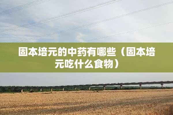 固本培元的中药有哪些（固本培元吃什么食物）