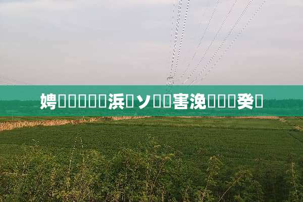 娉夊窞鏈夊摢浜涘ソ鐨勭害浼氬湴鐐癸紵