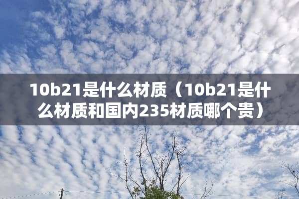 10b21是什么材质（10b21是什么材质和国内235材质哪个贵）