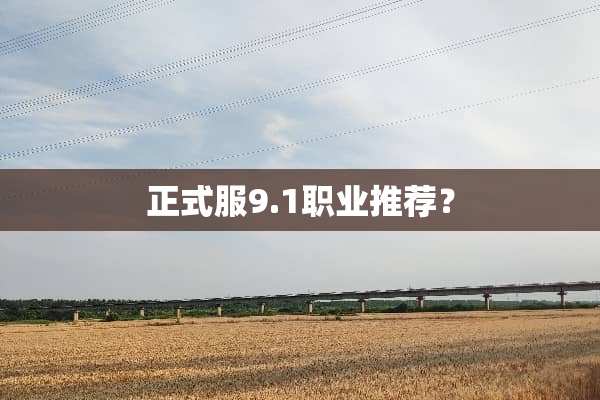 正式服9.1职业推荐？