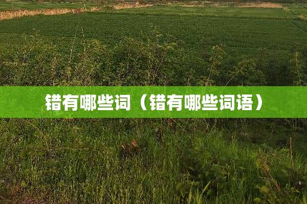 错有哪些词（错有哪些词语）