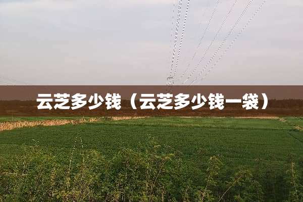 云芝多少钱（云芝多少钱一袋）
