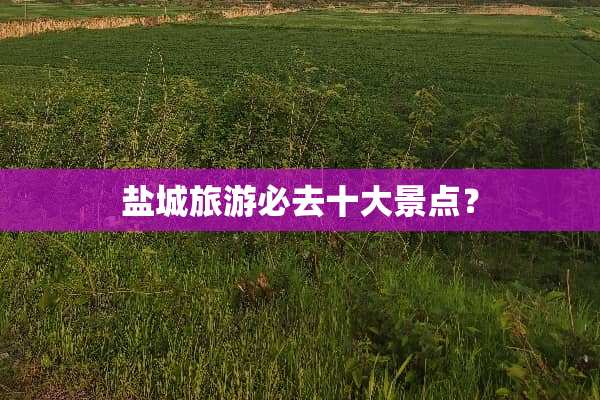 盐城旅游必去十大景点？