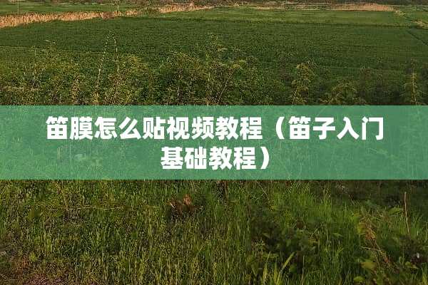 笛膜怎么贴视频教程（笛子入门基础教程）