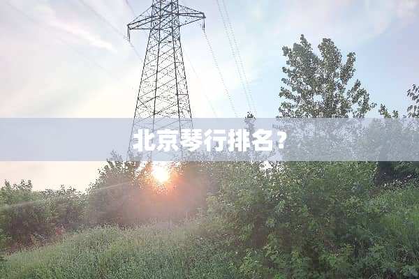 北京琴行排名？