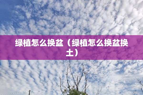 绿植怎么换盆（绿植怎么换盆换土）