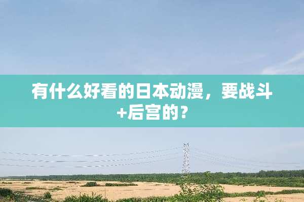 有什么好看的日本动漫，要战斗+后宫的？