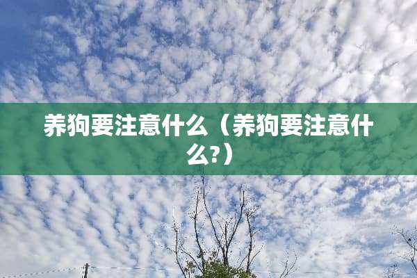 养狗要注意什么（养狗要注意什么?）