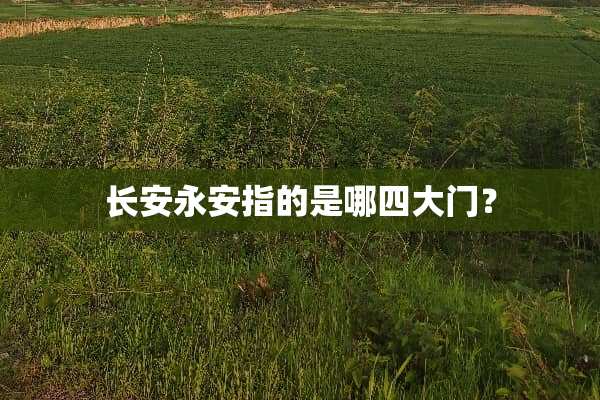 长安永安指的是哪四大门？