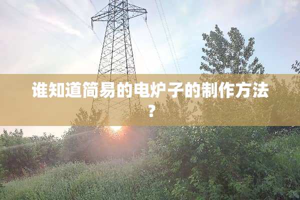 谁知道简易的电炉子的制作方法？