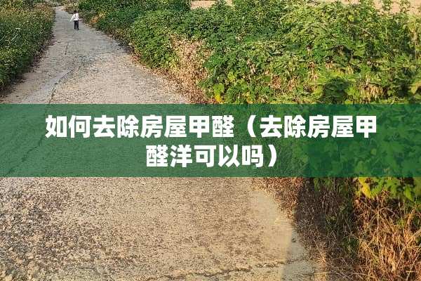 如何去除房屋甲醛（去除房屋甲醛洋可以吗）