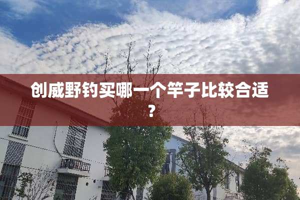创威野钓买哪一个竿子比较合适？