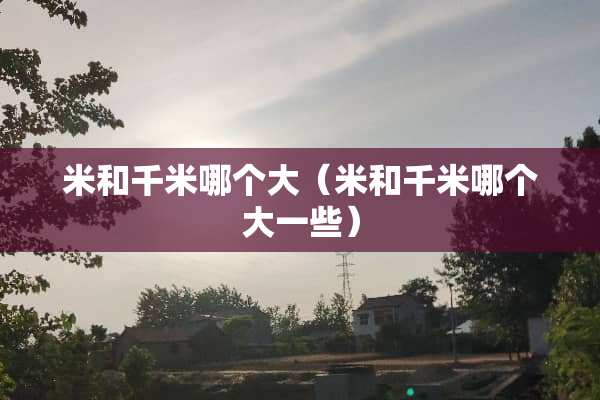 米和千米哪个大（米和千米哪个大一些）