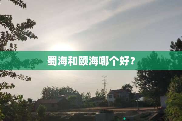 蜀海和颐海哪个好？