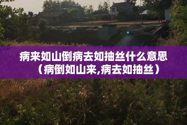 病来如山倒病去如抽丝什么意思（病倒如山来,病去如抽丝）