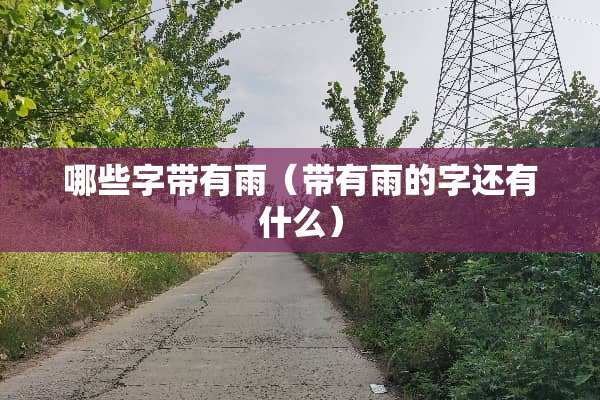 哪些字带有雨（带有雨的字还有什么）