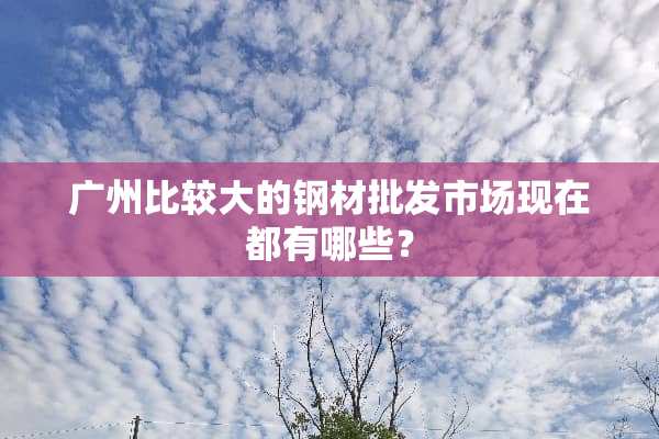 广州比较大的钢材批发市场现在都有哪些？